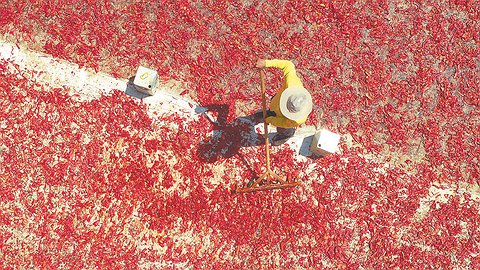 Сухоовощи и сухофрукты